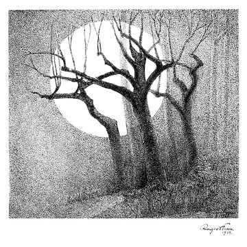 Winterse bomen in het maanlicht - zwarte stift op papier - Pieter Ringoot