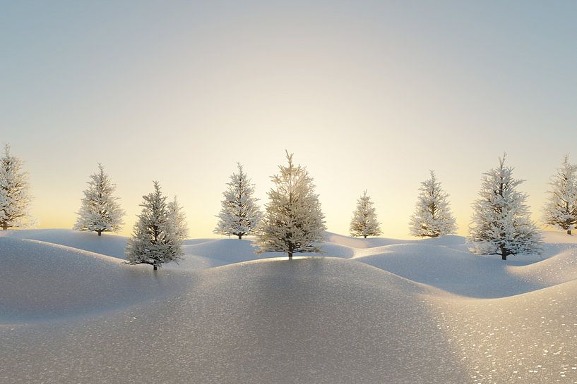 Winterliche Landschaft mit Fichtentannen in der Abendsonne von Besa Art