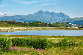 Küste auf den Lofoten in Norwegen