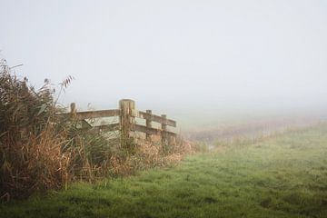 Ditch with fence in Frisian landscape in morning fog
