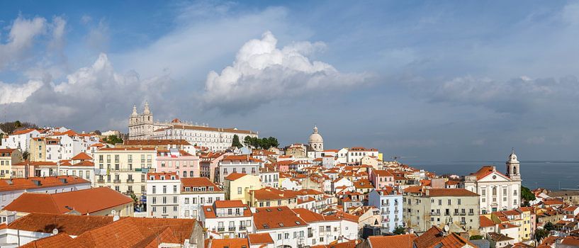 Alfama - Miradouro de Santa Luzia - Lissabon - Portugal van Teun Ruijters
