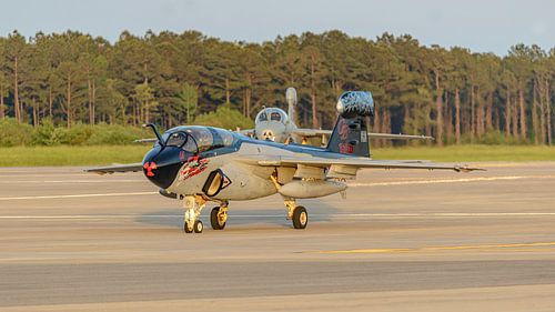 Speciaal kleurenschema op Grumman EA-6B Prowler.
