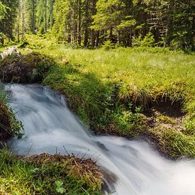 Ruisseau de montagne avec de l'eau de fonte des Alpes sur chamois huntress