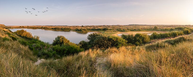 zonsondergang in duinlandschap Terschelling van FotoSynthese
