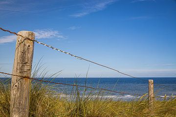 Dune fence by Michael Ruland