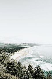 Von Bäumen gesäumte Küstenlinie