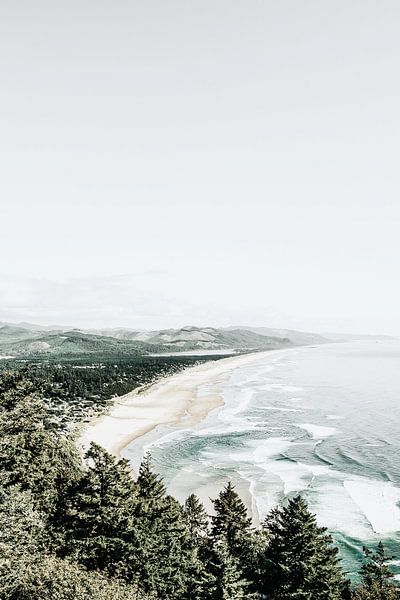 Trees Lined Coastline by Walljar