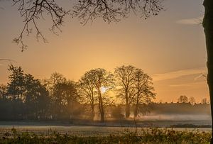 Sonnenaufgang in Renkum