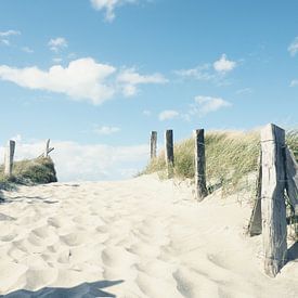 Pad naar het strand van Andreas Berheide Photography