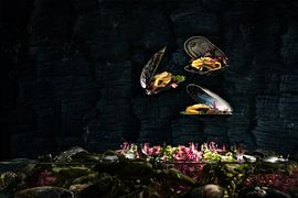 Wad's & Sea, mussels from the Wadden Sea by Froukje Smith