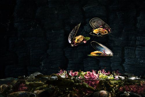 Wad's & Sea, mussels from the Wadden Sea