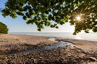 Oostzeestrand in Zweden
