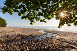 Baltic Sea beach in Sweden by Sven-Erik Arndt
