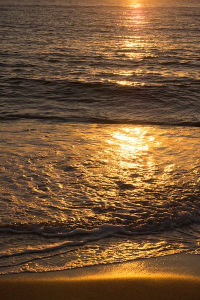 L'or du littoral par Kirsten Warner