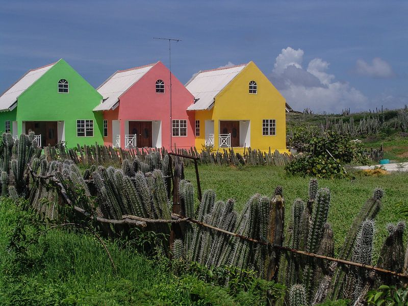 Curaçao van Eric van Nieuwland