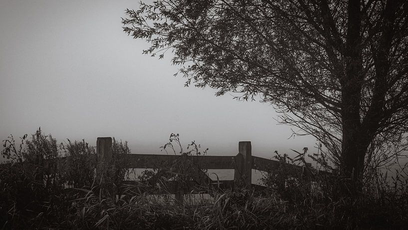 The fence and the tree by Ron de Jong