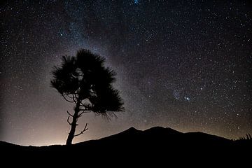 Teide Nationaal Park bij nacht van Angelika Stern