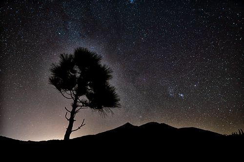Le parc national du Teide la nuit