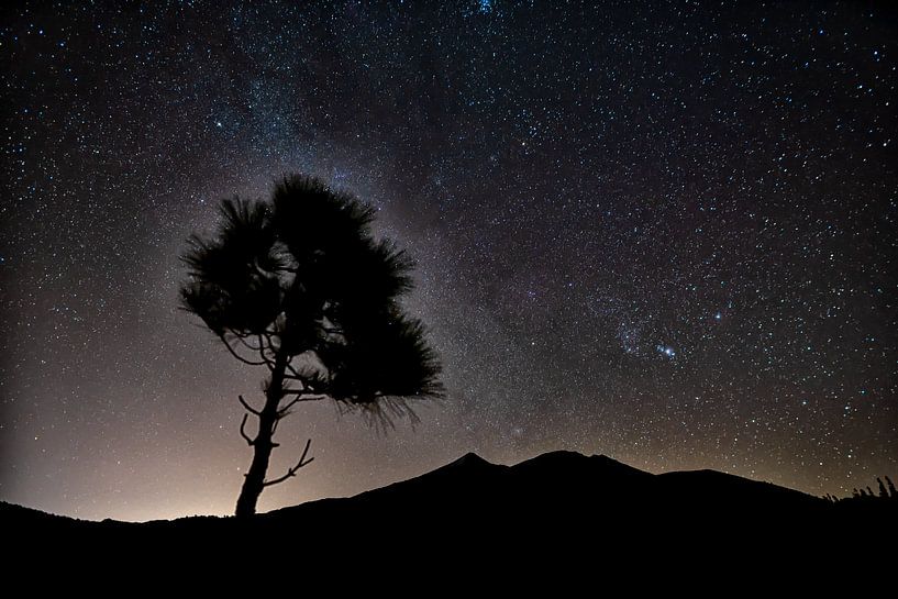 Teide Nationalpark bei Nacht von Angelika Stern