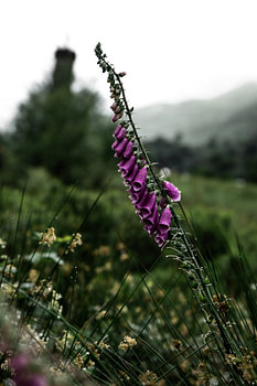 A lovely road trip through Glencoe in Scotland makes for some lovely photos.