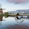 Kinderdijk van Luc Buthker