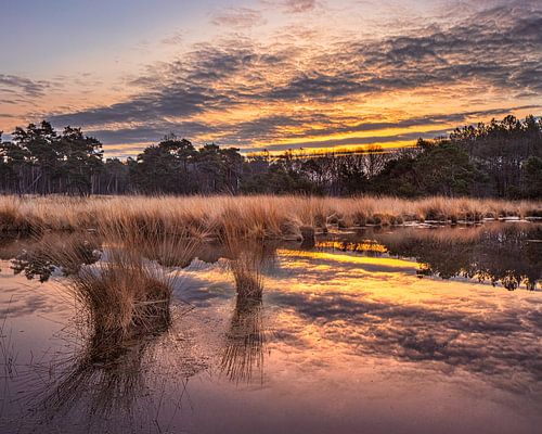 Sunrise with dramatic clouds reflected in a tranquil wetland 2