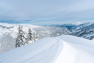 Grünten, Kleinwalsertal en Ritzler in de winter met uitzicht op de Allgäuer Alpen, Nebelhorn van Leo Schindzielorz
