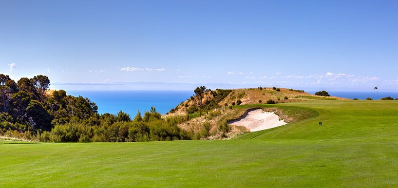 Panoramic landscape of a golf court. New Zealand by Yevgen Belich