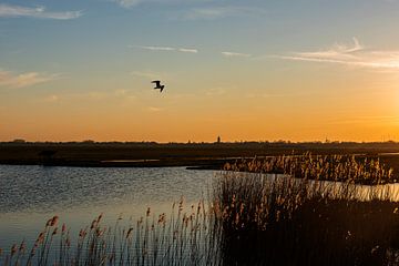 Sonnenuntergang niederländische Landschaft Eempolder