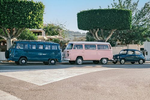 Roze en blauwe volkswagen hippie busjes en een volkswagen kever in Ibiza