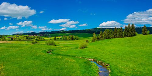Uitlopers van de Alpen bij Füssen in Allgäu