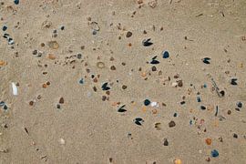 Coquillages sur la plage sur Nynke Altenburg