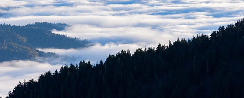 die Bäume durchstoßen die Wolken von Kris Hermans