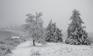 Winterlandschap Hochrhön van Holger Spieker