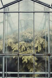 Behind the Glass by Floortje Louise