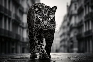 Leopard in the streets of Paris #1 by Mathias Ulrich