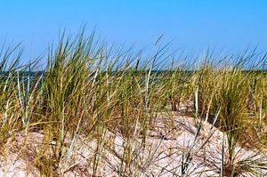 Weisse Sand-Düne auf der Insel Rügen