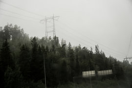 Brouillard dans les bois sur Pieter Ludema