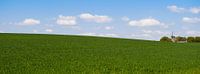 Sur la colline