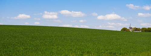 Sur la colline sur Photography by Karim