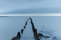fog over water