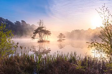 The lake with fog and sun and nice little islands. by Els Oomis
