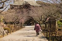 Vrouw in kimono bij Japanse tempel
