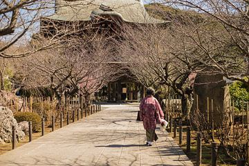 Vrouw in kimono bij Japanse tempel van Sacha Ooms