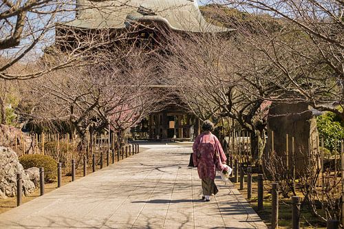 Woman in kimono at Japanese temple