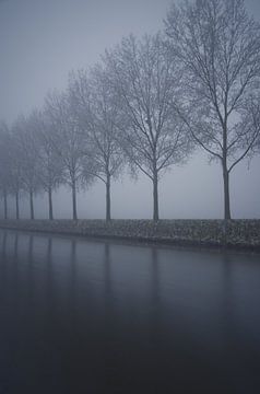 Row of trees in the fog sur Remco Swiers