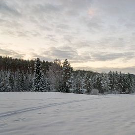 Wit wonderland von Jacco Bezuijen