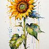 Expressieve zonnebloem aquarel - gestructureerde bloemsierkunst van MIROKKU