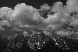 Black and white by Paulien van der Werf