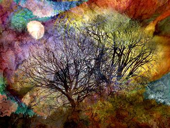 FRÜCHTE des LICHTES